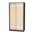 Шкаф-купе Аларти B-220х120х60-2Венге-ДМ-D9D9