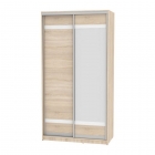 Шкаф-купе Аларти B-220х120х60-3ДСС-D9D10