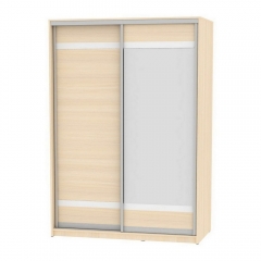 Шкаф-купе Аларти B-220х160х60-2ДМ-D9D10