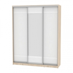 Шкаф-купе Аларти B-220х180х60-1ДСС-Белый-D9D10D9