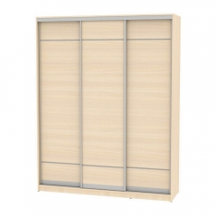 Шкаф-купе Аларти B-220х180х60-2ДМ-D7D7D7