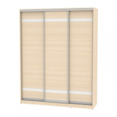 Шкаф-купе Аларти B-220х180х60-2ДМ-D9D9D9