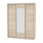 Шкаф-купе Аларти B-220х180х60-2ДСС-D7D8D7