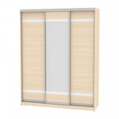 Шкаф-купе Аларти B-220х180х60-2ДМ-D9D10D9