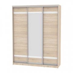 Шкаф-купе Аларти B-220х180х60-2ДСС-D9D10D9