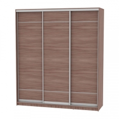 Шкаф-купе Аларти B-220х200х60-1ЯШТ-D7D7D7