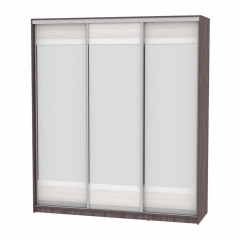 Шкаф-купе Аларти B-220х200х60-1ЯАТ-ЯАС-D10D10D10