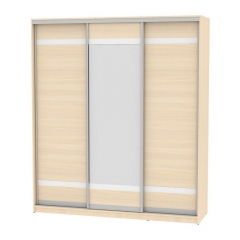 Шкаф-купе Аларти B-220х200х60-1ДМ-D9D10D9