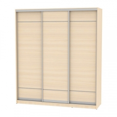 Шкаф-купе Аларти B-220х200х60-2ДМ-D7D7D7