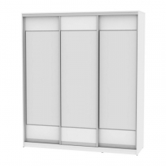 Шкаф-купе Аларти B-220х200х60-2Белый-D8D8D8