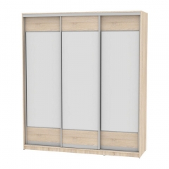 Шкаф-купе Аларти B-220х200х60-2ДСС-D8D8D8