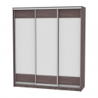 Шкаф-купе Аларти B-220х200х60-2ЯАТ-D8D8D8