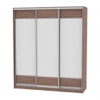 Шкаф-купе Аларти B-220х200х60-2ЯШТ-D8D8D8