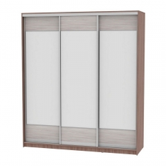 Шкаф-купе Аларти B-220х200х60-2ЯШТ-ЯШС-D8D8D8