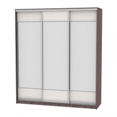 Шкаф-купе Аларти B-220х200х60-2ЯАТ-ЯАС-D8D8D8