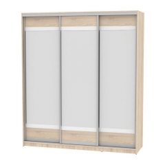 Шкаф-купе Аларти B-220х200х60-2ДСС-D10D10D10