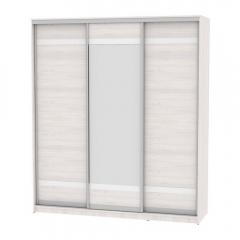 Шкаф-купе Аларти B-220х200х60-2ЯАС-D9D10D9