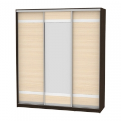 Шкаф-купе Аларти B-220х200х60-2Венге-ДМ-D9D10D9