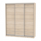 Шкаф-купе Аларти B-220х200х60-3ДСС-D7D7D7