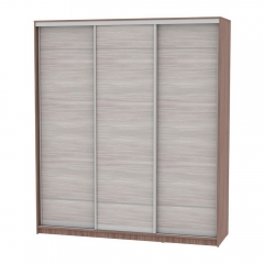 Шкаф-купе Аларти B-220х200х60-3ЯШТ-ЯШС-D7D7D7