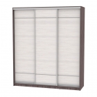 Шкаф-купе Аларти B-220х200х60-3ЯАТ-ЯАС-D7D7D7