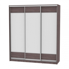 Шкаф-купе Аларти B-220х200х60-3ЯАТ-D8D8D8