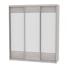Шкаф-купе Аларти B-220х200х60-3ЯШС-D8D8D8