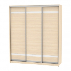 Шкаф-купе Аларти B-220х200х60-3ДМ-D9D9D9