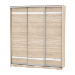 Шкаф-купе Аларти B-220х200х60-3ДСС-D9D9D9