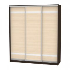 Шкаф-купе Аларти B-220х200х60-3Венге-ДМ-D9D9D9