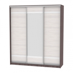 Шкаф-купе Аларти B-220х200х60-3ЯАТ-ЯАС-D9D10D9