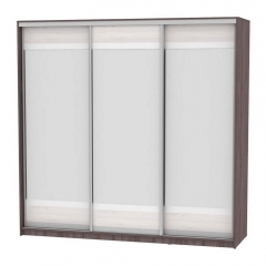 Шкаф-купе Аларти B-220х235х60-1ЯАТ-ЯАС-D10D10D10