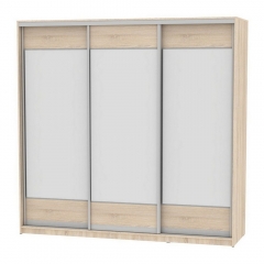 Шкаф-купе Аларти B-220х235х60-2ДСС-D8D8D8