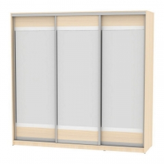 Шкаф-купе Аларти B-220х235х60-2ДМ-D10D10D10