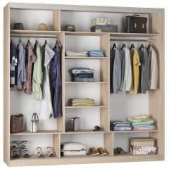 Шкаф-купе Аларти B-220х235х60-2ЯШТ-ЯШС-D7D8D7