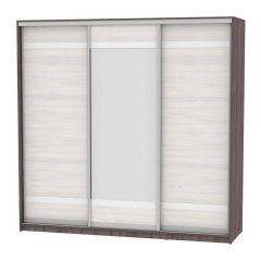 Шкаф-купе Аларти B-220х235х60-2ЯАТ-ЯАС-D9D10D9