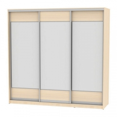 Шкаф-купе Аларти B-220х235х60-3ДМ-D8D8D8