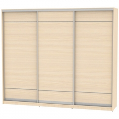 Шкаф-купе Аларти B-220х270х60-2ДМ-D7D7D7