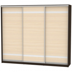 Шкаф-купе Аларти B-220х270х60-2Венге-ДМ-D9D9D9