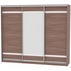 Шкаф-купе Аларти B-220х270х60-2ЯШТ-D9D10D9