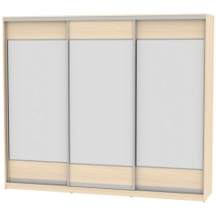 Шкаф-купе Аларти B-220х270х60-3ДМ-D8D8D8