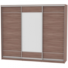 Шкаф-купе Аларти B-220х270х60-3ЯШТ-D7D8D7