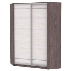 Шкаф-купе Аларти YA-198х1250-2ЯАТ-ЯАС-D1D1