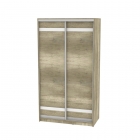 Шкаф-купе Аларти B-230х120х60-3ДКМ-D9D9