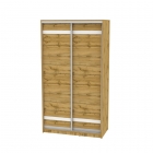 Шкаф-купе Аларти B-230х120х60-1ДВ-D9D9