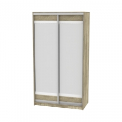 Шкаф-купе Аларти B-230х120х60-2ДКМ-D10D10