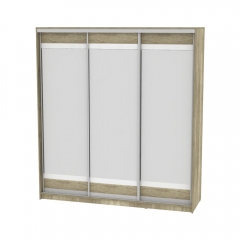 Шкаф-купе Аларти B-220х200х60-3ДКМ-D10D10D10