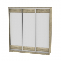 Шкаф-купе Аларти B-230х200х60-2ДКМ-D8D8D8