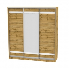 Шкаф-купе Аларти B-230х200х60-2ДВ-D9D10D9