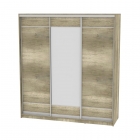 Шкаф-купе Аларти B-230х200х60-1ДКМ-D7D8D7